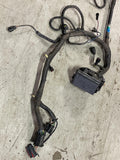 1999 Ford Mustang SVT Cobra Distribution Harness 233